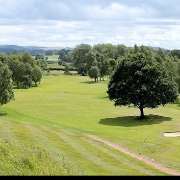 Avro Golf Club tweet media