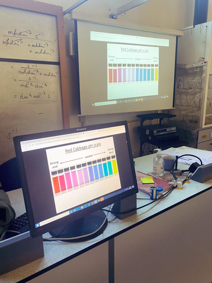 Another successful KS3 science club today making red cabbage indicator! The students loved testing it out on different substances and making some very pretty colours too! A super fun and easy experiment you can do at home! #stem #WomenInSTEM #TownleySTEM #chemistry #science