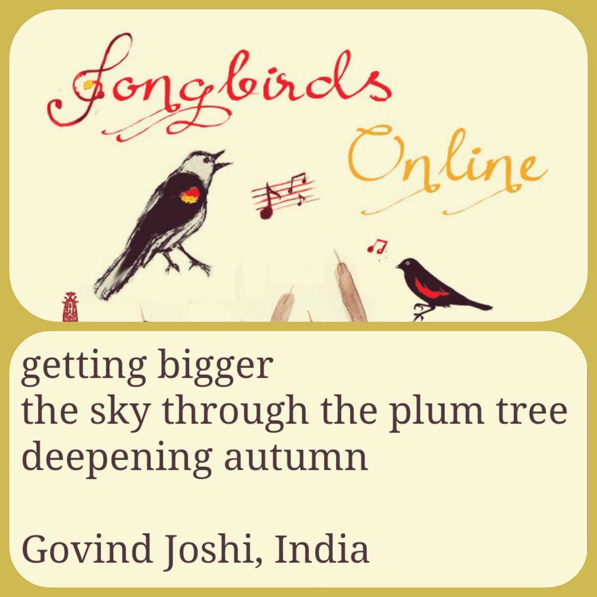 Gjoshi64's tweet photo. Many thanks to an'ya (https://t.co/e46jupJDLb) for publishing my haiku in the United Haiku and Tanka Society 2022 Anthology "Songbirds Online".
https://t.co/VQFfMcgmKL

#Haiku #Senryu #ThePlumBlossoms https://t.co/rP5gfcBgCY