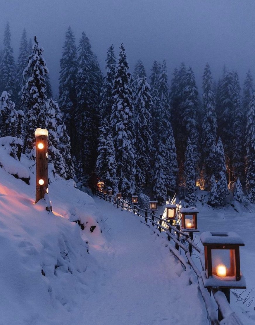OfficialPLT's tweet photo. Imagine spending Christmas here 🤍 https://t.co/GHbAWfT21b