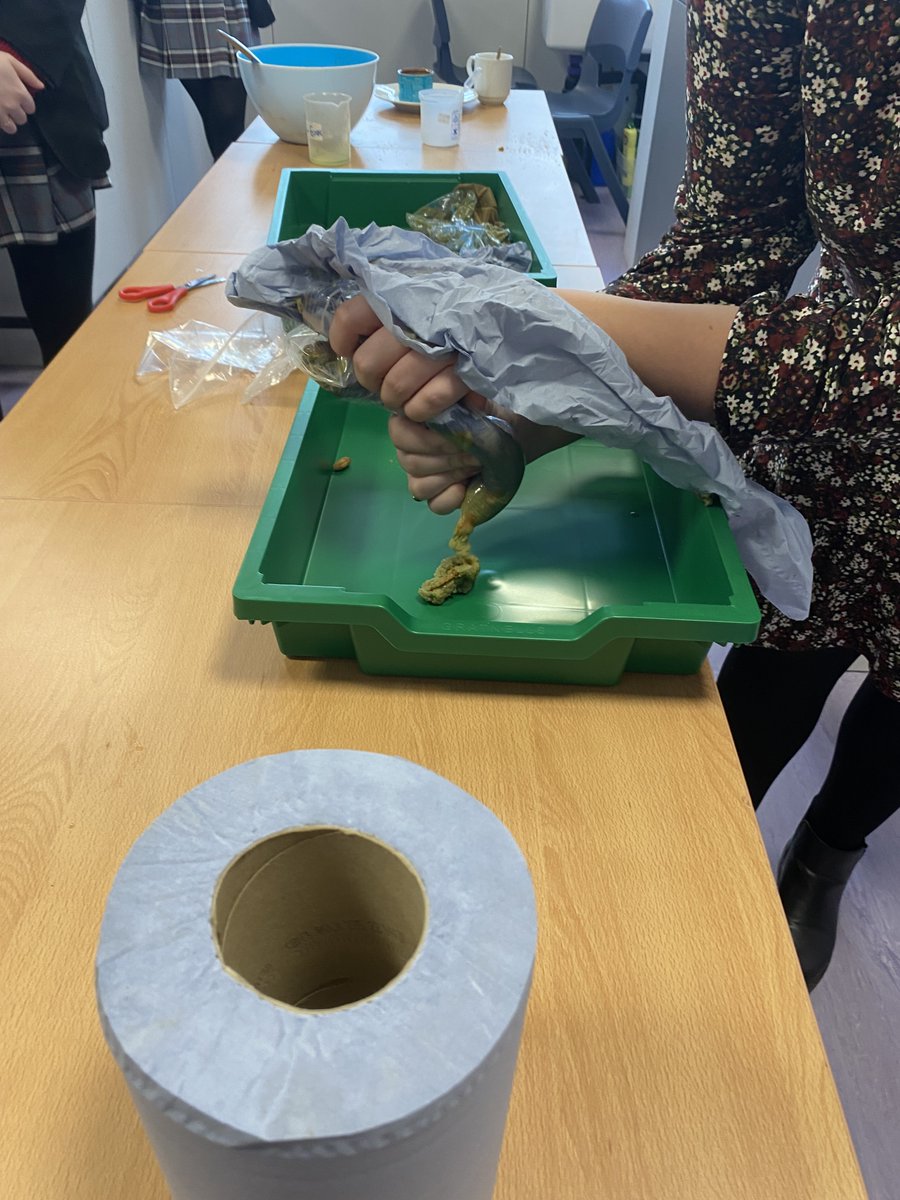 MissFox_Science's tweet photo. A great 5th Year Biology Class today with our real-life model of the digestive system! @ClaregalwayColl https://t.co/kreprFhkdU