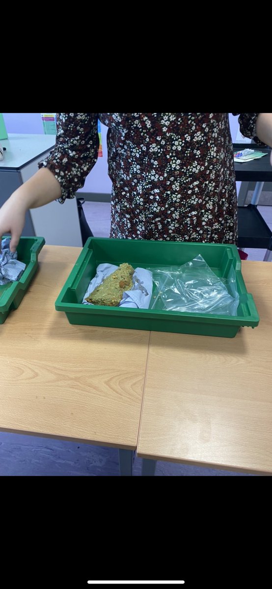 MissFox_Science's tweet photo. A great 5th Year Biology Class today with our real-life model of the digestive system! @ClaregalwayColl https://t.co/kreprFhkdU