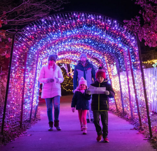 WheatonMD's tweet photo. Garden of Lights display transforms Brookside Gardens into a magical winter wonderland. Now open through January 1, 2023. Closed December 24-25. Tickets are $10 per person. For more information visit:https://t.co/rOyvtqYwrW #WheatonMD #DiscoverWheatonMD #LightsDisplay https://t.co/w3vxZ2oj1P