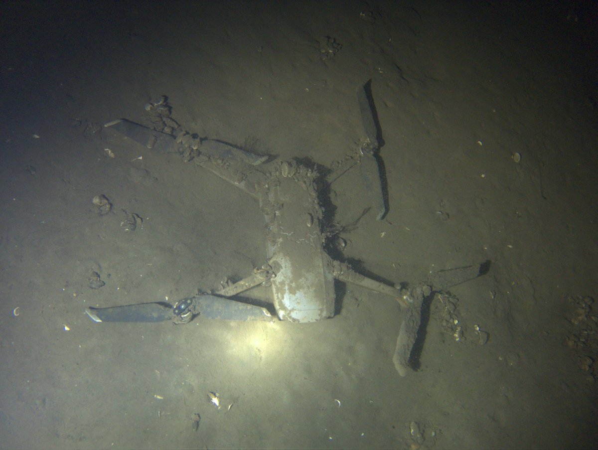 pbhbos's tweet photo. General perception of (non-)divers on #freshwater lakes in the Netherlands is: Boring, dark, murky, colorless, cold, lifeless, and scary. That's true except for boring. Surprises keep coming. #carp #drones many other #fish too like #pike #bream #ruffe #eel https://t.co/WGYbyQS2yL