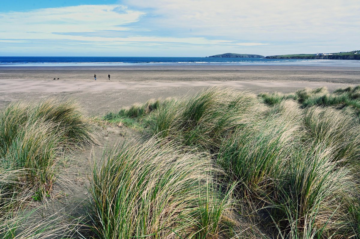 Pembrokeshire Coast National Park (@pembscoast) on Twitter photo Beach wheelchairs are back at Poppit Sands! They have been serviced and are ready to go again. There is a standard sized chair and another suitable for children, available to hire for free from <a href="/crwstcymru/">Crwst</a> near the beach.
To book:
beachwheelchairs.simplybook.it/v2/#book/locat… #pembsbeachwheelchairs Beach wheelchairs are back at Poppit Sands! They have been serviced and are ready to go again. There is a standard sized chair and another suitable for children, available to hire for free from <a href="/crwstcymru/">Crwst</a> near the beach.
To book:
beachwheelchairs.simplybook.it/v2/#book/locat… #pembsbeachwheelchairs
