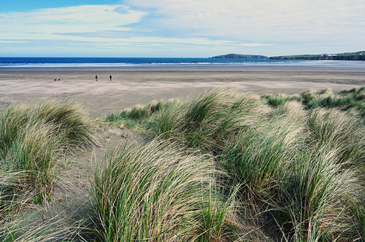 Beach wheelchairs are back at Poppit Sands! They have been serviced and are ready to go again. There is a standard sized chair and another suitable for children, available to hire for free from @crwstcymru near the beach. To book: beachwheelchairs.simplybook.it/v2/#book/locat… #pembsbeachwheelchairs