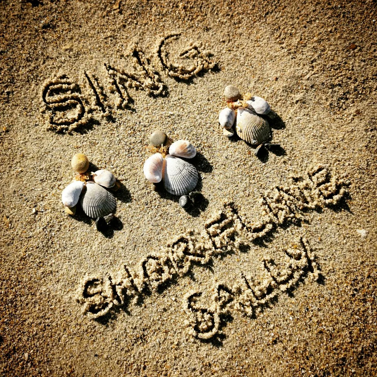 DigiDaughter's tweet photo. OPEN DOOR No. 8
SHORELINE ADVENT CALENDAR
December 8th - choristers 🎶 #AdventCalendar #Dec08 #scallops #slippershells #seaweed #feather #choir #carols #shell #christmas #beachart #sandart #handwriting #pebbleart #shellart #SandBanksy #ShorelineSally
#the12daysofbeachmas 💙🌊🌊 https://t.co/nx1ieSat3Z