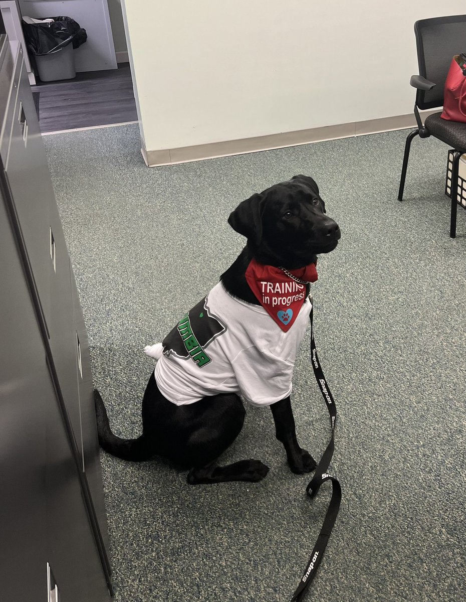 Happy Thankful to be a Raider Holiday Day 💚💚💚 Raider Pride!