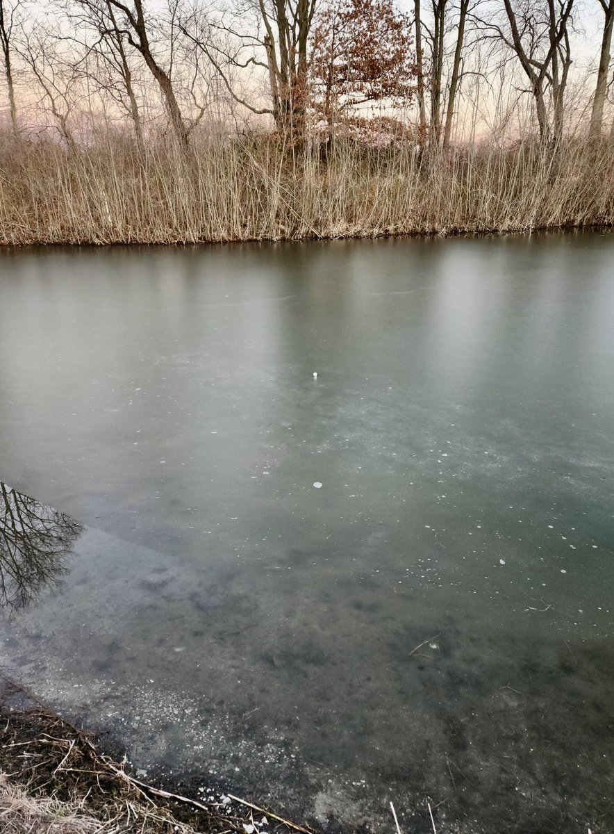 Caddie Network on Twitter "Are you going to get this golf ball? 👀😂 (📸