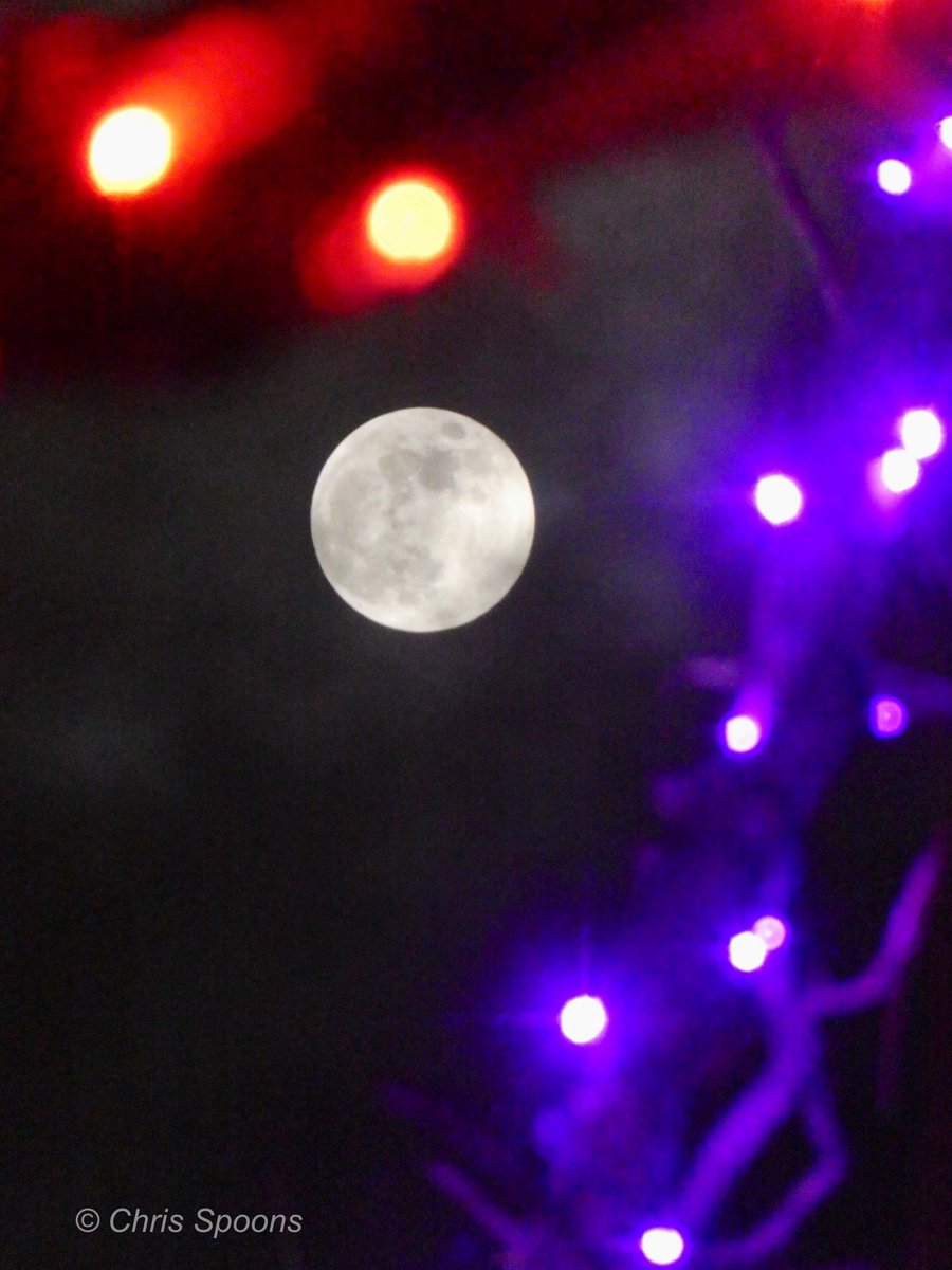 Full moon through trees covered in holiday lights.  

#Photography #FullMoon #LookUp #ilwx #weather #ThePhotoHour <a href="/StormHour/">#StormHour</a> <a href="/EarthandClouds/">Earth and Clouds</a> <a href="/EarthandClouds2/">Earth and Clouds II</a> @LensAreLive
