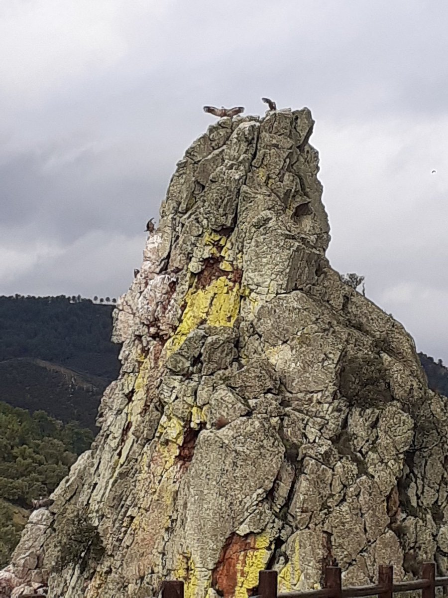 #monfrague#