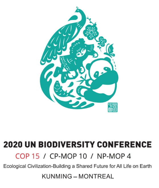 Today is the first day of an international conference on biodiversity, #COP15! VCE has the great privilege to attend this conference, held in Montreal this year. Excited to see what other dedicated organizations are doing to preserve biodiversity! #biodiversity #vtecostudies