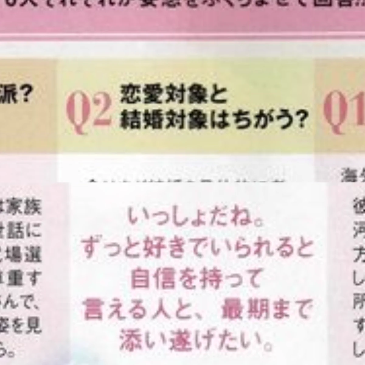 活動歴および当時の関連ビジュアル記録