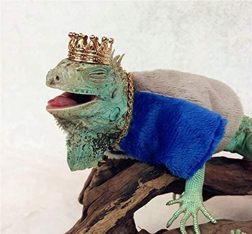 Happy Birthday to Jim Morrison  