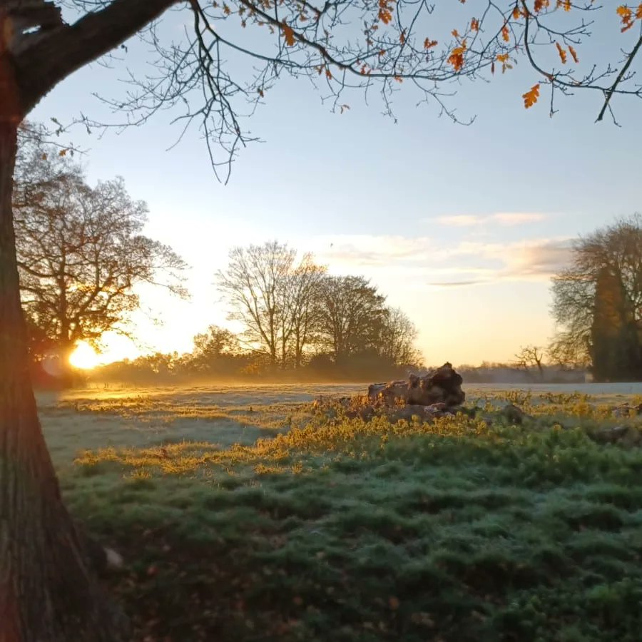 We can cope with the short days when we have sunrises like this morning. #December2022 #longhornbeef #christmasbeef #organicfarming