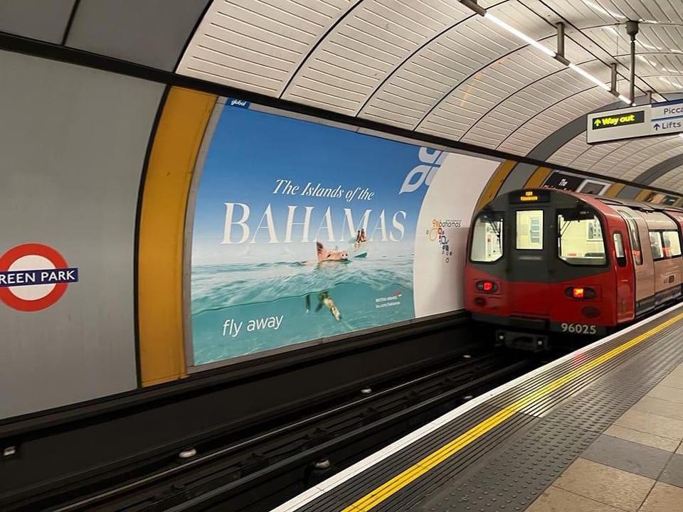 Swimming Pig spotted - London Underground! #swimmingpigs