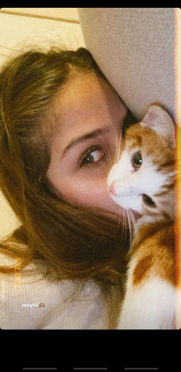 Gjihfe's tweet photo. @basticim 😻💚 https://t.co/KMRaa5xANL