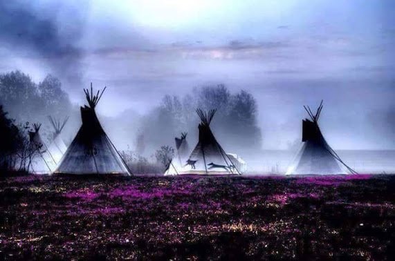 Native3rd's tweet photo. “Humankind has not woven the web of life. We are but one thread within it. Whatever we do to the web, we do to ourselves. All things are bound together. All things connect.” – Chief Seattle  (Si’ahl`~ 1786 – 1866) https://t.co/xJT77zppE5
