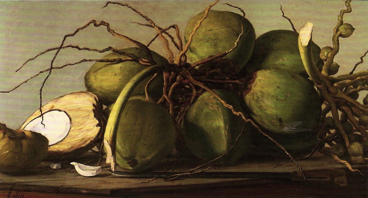 ArteHispanico's tweet photo. Cocos, 1893 #oller #franciscooller https://t.co/Ge9eZNLcq1 https://t.co/evclDOWPqt