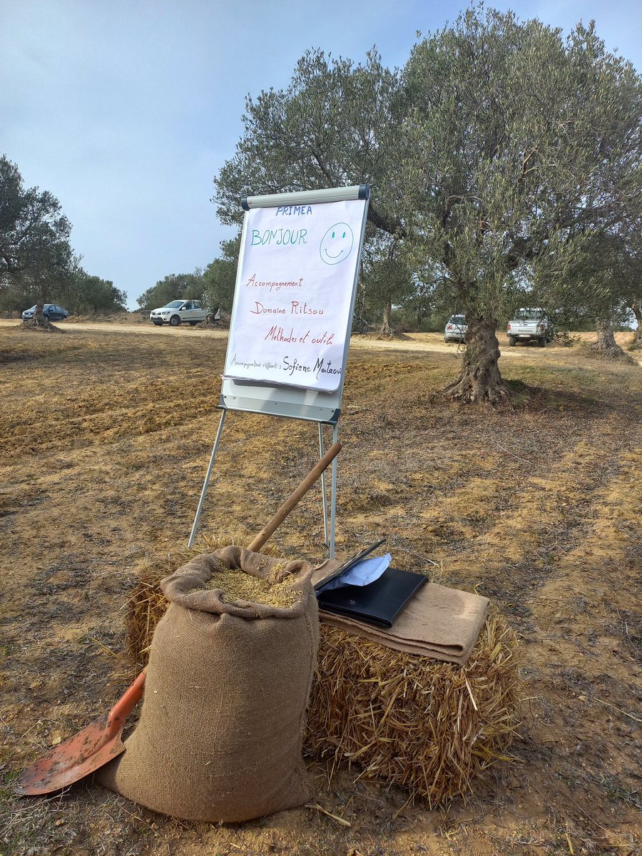 OrivelStephan's tweet image. La délicieuse huile d'olive de la 🇹🇳, c'est le travail des agriculteurs et agricultrices, comme Mme Asma Aouinti, accompagnés par le ministère de l'agriculture, notamment l'APIA, avec le soutien de @AFD_France et @UeTunisie
#Primea huile Ritsou