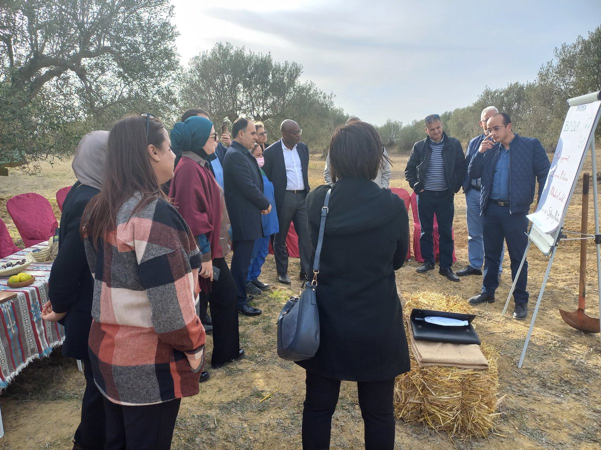 OrivelStephan's tweet image. La délicieuse huile d'olive de la 🇹🇳, c'est le travail des agriculteurs et agricultrices, comme Mme Asma Aouinti, accompagnés par le ministère de l'agriculture, notamment l'APIA, avec le soutien de @AFD_France et @UeTunisie
#Primea huile Ritsou