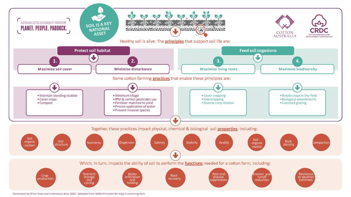 BackPaddockCo's tweet photo. #SoilHealth #SoilBasics @CottonAustralia @CottonResearch
Download and learn the principles of soil health, put together by soil lovers. https://t.co/Oc5qWcYQiY