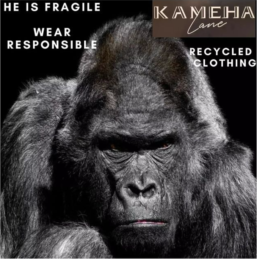 AndysEthic's tweet photo. Kameha Lane
Recycled &amp; Organic Clothing
https://t.co/h5TyyXeZdp
24, rue Sainte Ursule à Toulouse
#mode #modeethique #modecirculaire #modedurable #slowfashion #bio #environnement #ecologie #vegan #pollution #plasticpollution #veganfortheanimals #toulousemaville #toulouse https://t.co/lklud5yS81