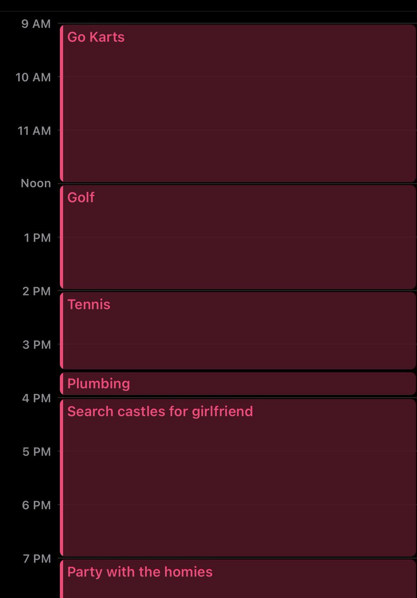 I’m a 40 year old Italian plumber who manages a $0 portfolio of businesses. This is my daily schedule