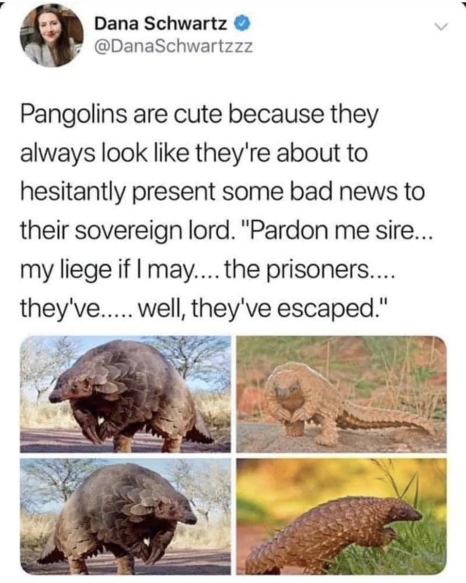 #ChildrensBook Idea 💡 Fuel