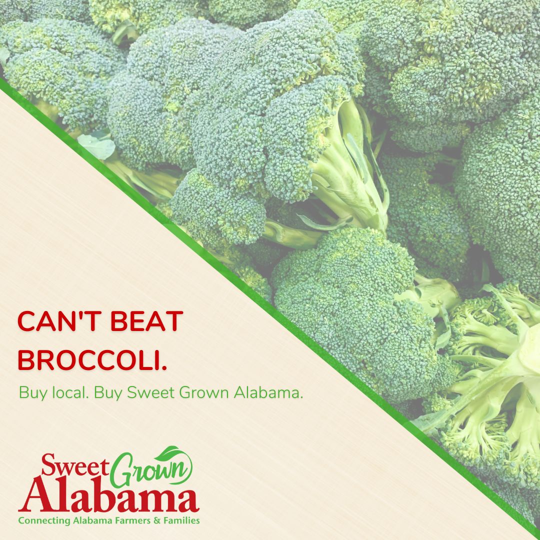 Sweet_Grown_AL's tweet photo. Did you know that broccoli has more protein per calorie than steak? Fresh local broccoli makes the perfect afternoon snack. Find more locally grown products near you at https://t.co/0zYi3fAbod. https://t.co/cnMm6XT25m