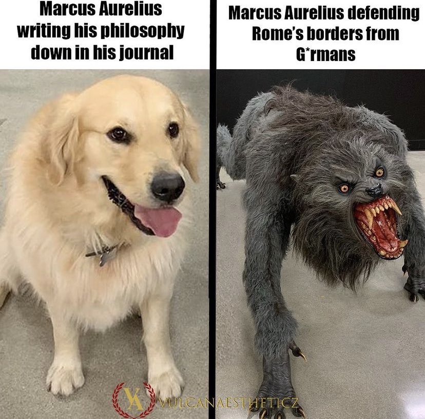 Daily Roman Updates tweet media