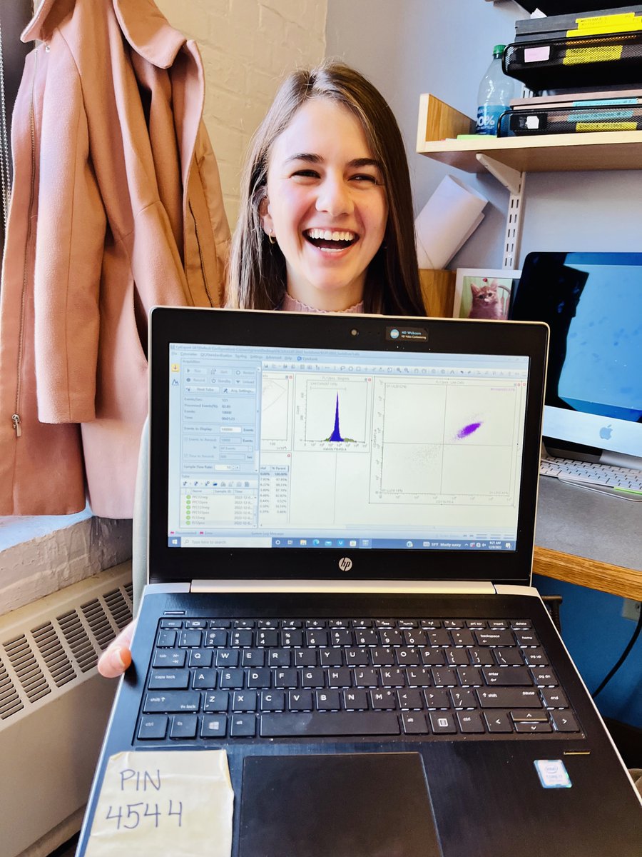 Brenhouse Lab (@brenhouselab) on Twitter photo Guess who isolated microglia from rat PFC like a boss??
It's <a href="/mikeyfan7/">Mikey Fanikos</a>! No.1 way to welcome your PI home from #ACNP2022: Having nailed a technique that's plagued your lab for years! Guess who isolated microglia from rat PFC like a boss??
It's <a href="/mikeyfan7/">Mikey Fanikos</a>! No.1 way to welcome your PI home from #ACNP2022: Having nailed a technique that's plagued your lab for years!
