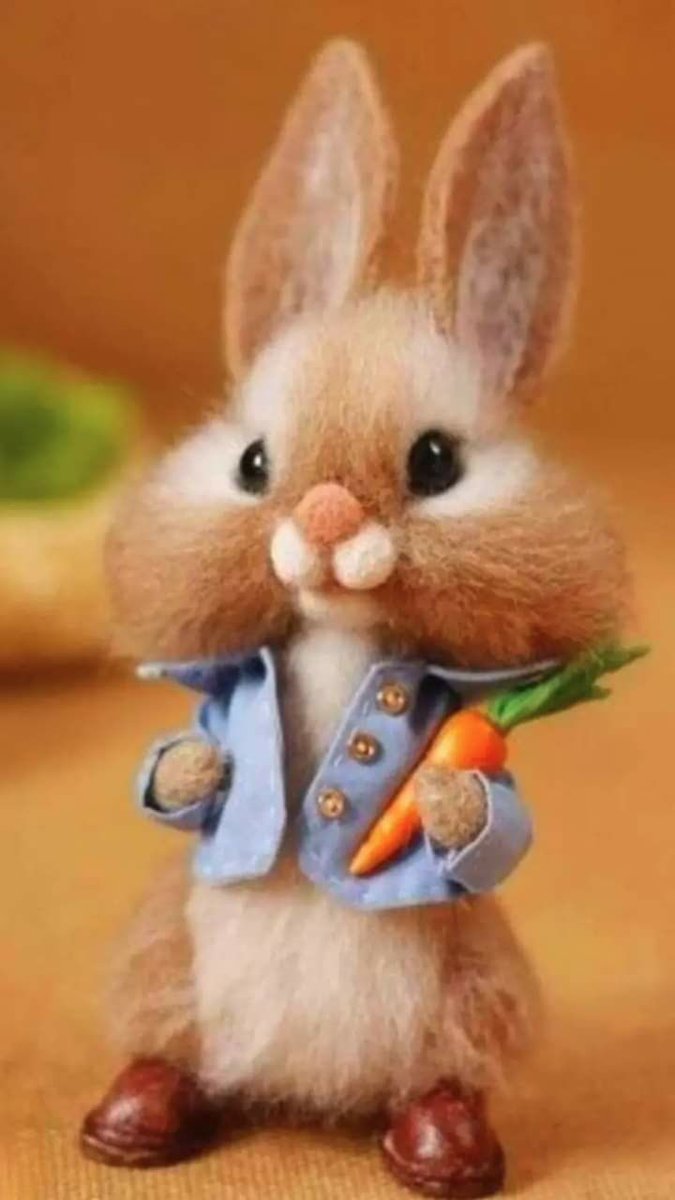 Валентина Домарева tweet media