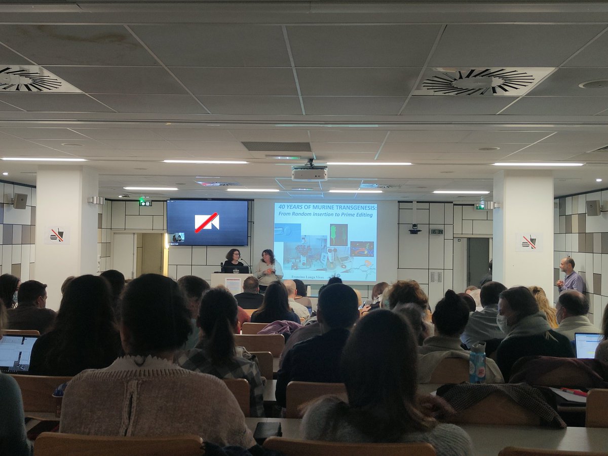 boutetmarie's tweet photo. Un joli programme pour le colloque des Folles Souris Nantaises aujourd'hui! Bravo aux représentants de @RMeS_UMR1229 et à l'ensemble des speakers pour ces échanges autour de l'utilisation des modèles animaux pour la recherche #3R #SFR @WeAreEnvigo #janvierlabs @CharlesRiverLa1 https://t.co/ZsOUpKUukD