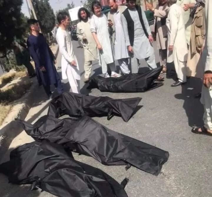FORGOTTEN_RfGs's tweet photo. I’m in pain right now. Perpetuating lies, such as the denial of the Hazara genocide in Afg, and praising fascist murderers, is dangerous and fans the flames of hate against Hazara. We all have an obligation to condemn these vile acts. We must not stay silent.#StopHazaraGenocide https://t.co/WM6VCWEvli