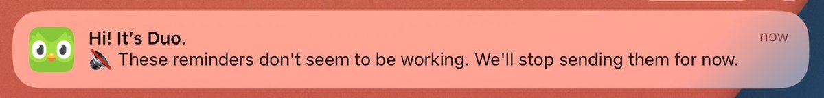 conhare's tweet image. Out of all of Duolingo’s passive-aggressive behaviours, this one really is Irish-Mammy guilt levels.