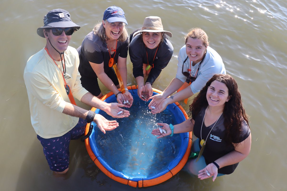 kenzie3kinz's tweet photo. Had a blast teaching students &amp; staff how to pull a seine net during our @USFCMS Education &amp; Outreach Day at Clam Bayou @OCG_Outreach https://t.co/MuuvHMFcjO