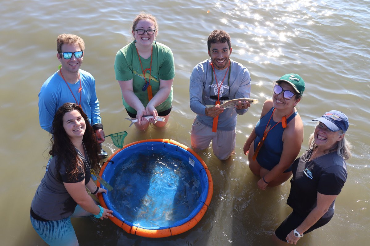 kenzie3kinz's tweet photo. Had a blast teaching students &amp; staff how to pull a seine net during our @USFCMS Education &amp; Outreach Day at Clam Bayou @OCG_Outreach https://t.co/MuuvHMFcjO