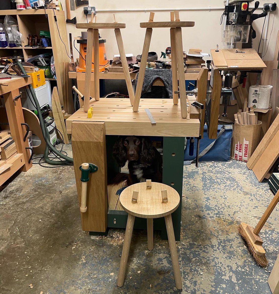 Stablefurniture's tweet photo. Three Stable stools glued and wedged with supervision from Monty πΆ
#stablestool
https://t.co/1iOceFSdUq https://t.co/RpCxWMGWU3