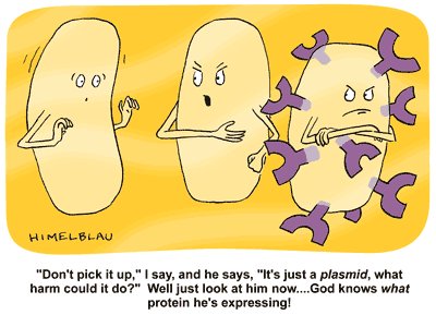 Rapid Novor Inc tweet media