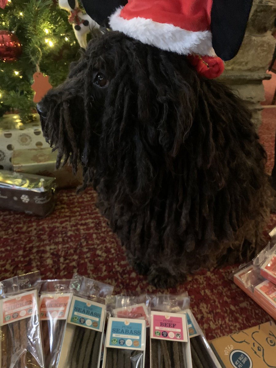 Skelwith_Bridge's tweet photo. Tico Puli is all set to welcome all his special VIP’s (very impawtant pups,) to his hotel this festive season thanks to @bemorebob2 🎄 🐾🐾❤️ #LakeDistrict #Christmas https://t.co/AUPHPhC2ds
