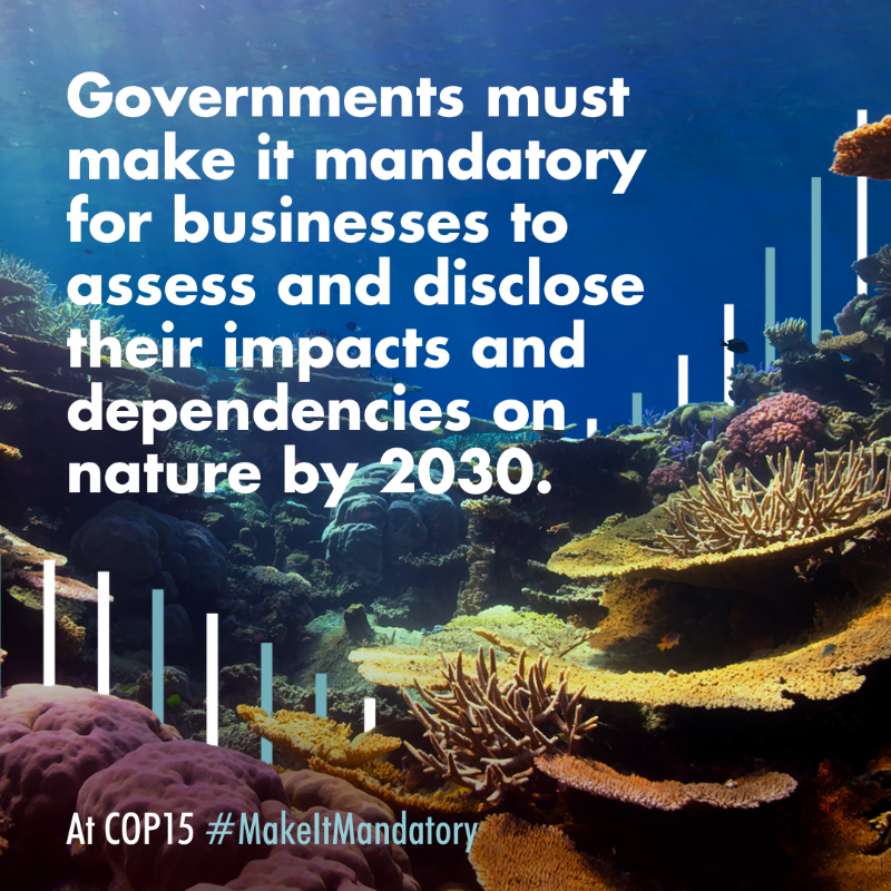 Orsted's tweet photo. #COP15 is well underway, and one of the outcomes we're calling for is a mandatory requirement for large companies to assess and disclose their impacts on nature and #biodiversity. Together with @BfNCoalition and over 330 companies, we’re urging world leaders to #MakeItMandatory.