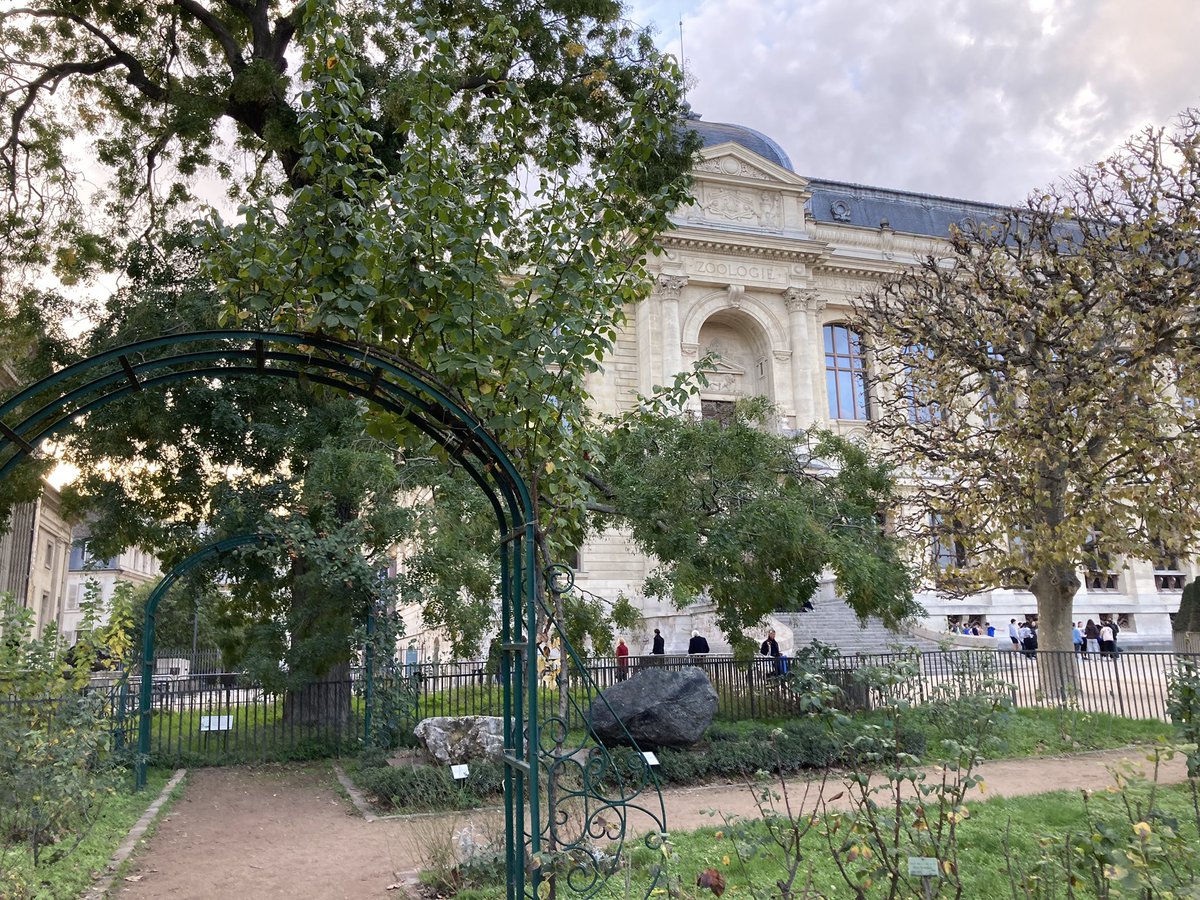 AsmaStein's tweet photo. Un plaisir d’avoir accueilli ce matin au @Le_Museum les étudiants du #masterIMST @Universite_Caen, une formation riche et nouvelle adaptée aux projets de #sciencesetrecherchesparticipatives Plein de succès à cette promo et aux suivantes ! @milletrds @Florestan_FCBN https://t.co/EVdIWj9JPe