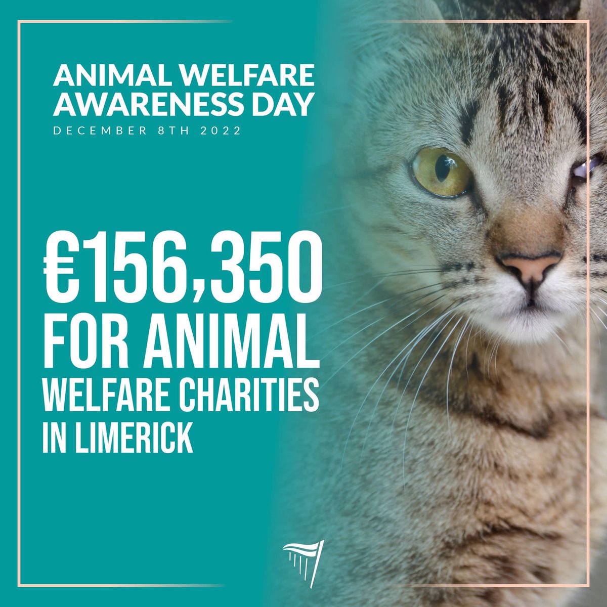 Niall Collins (@niallcollinstd) on Twitter photo 📣Animal Welfare Awareness Day - Funding Announcement ⬇️⬇️.
@limerickanimalwelfare : €108,600
@limerickferalcats : €21,800
<a href="/StarRescue/">Star Rescue</a> : €12,350
@deelanimalrescue : €13,600 📣Animal Welfare Awareness Day - Funding Announcement ⬇️⬇️.
@limerickanimalwelfare : €108,600
@limerickferalcats : €21,800
<a href="/StarRescue/">Star Rescue</a> : €12,350
@deelanimalrescue : €13,600