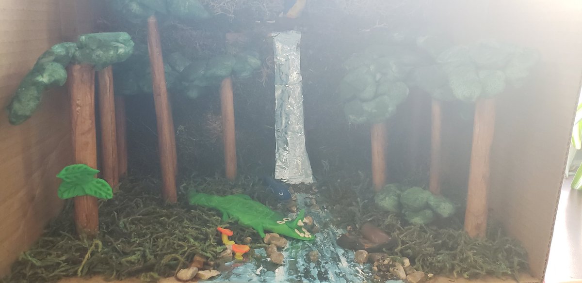 Bridget_Baker7's tweet photo. Ecosystems in a box turned out amazing! @jrcallwood #jrcproud #handson #tvdsbscience https://t.co/na2L1qSIHR