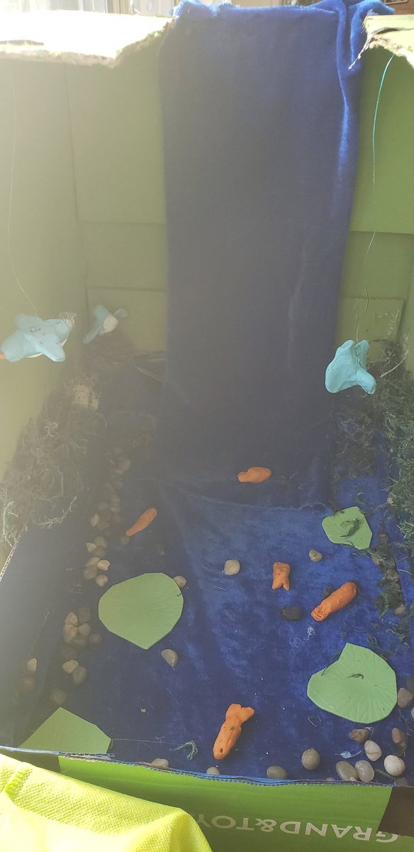 Bridget_Baker7's tweet photo. Ecosystems in a box turned out amazing! @jrcallwood #jrcproud #handson #tvdsbscience https://t.co/na2L1qSIHR