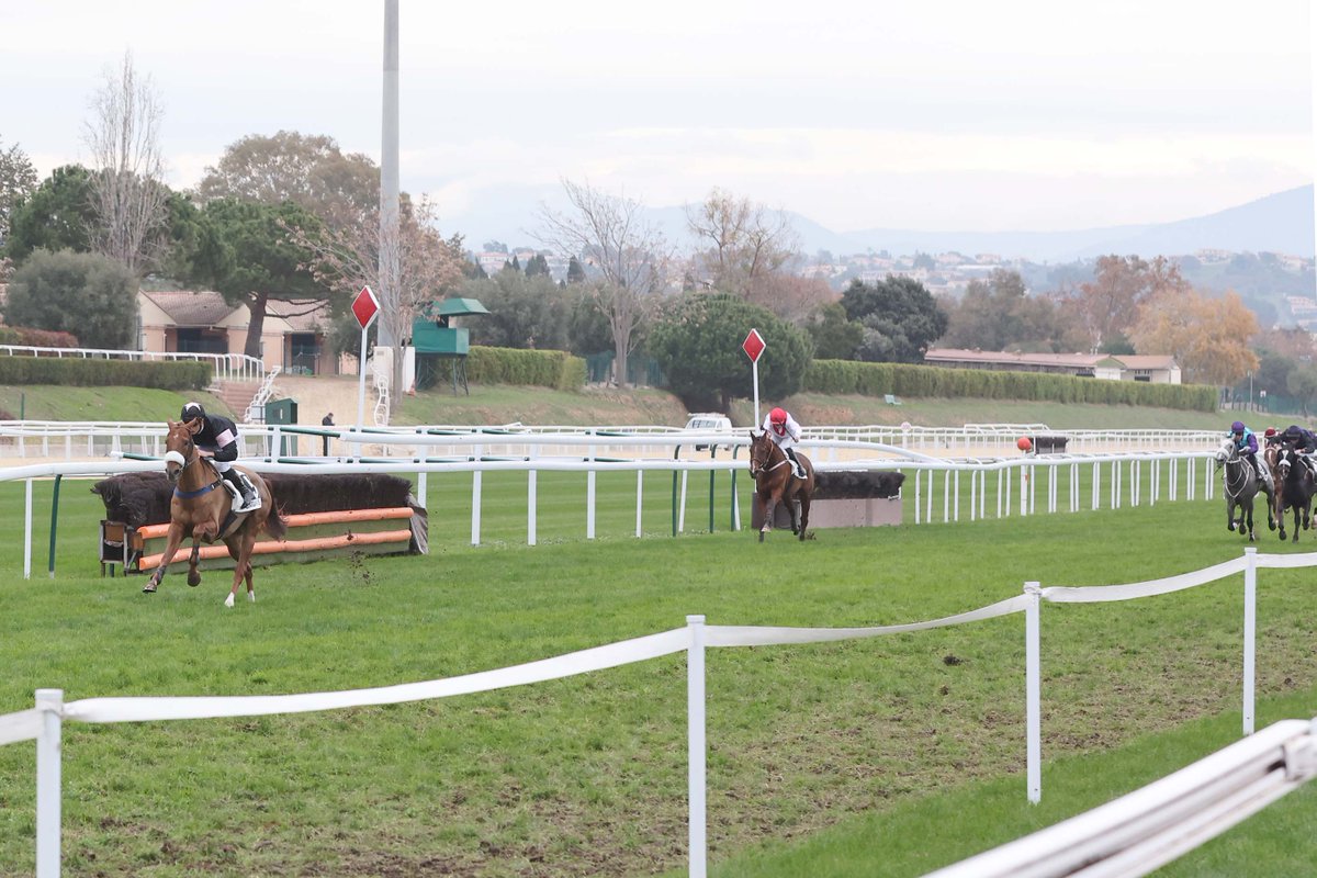 Portant les couleurs d'Alain Griezmann, FOX CHALLENGER (Footstepsinthesand/<a href="/coolmorestud/">Coolmore</a>) s'est offert un premier succès en obstacle ridicule de facilité dans le Prix du Vieux Nice avec <a href="/ubeda_dylan/">Dylan Ubeda</a> en selle. Il est entraîné par Mathieu Pitart.
📸André Viguier