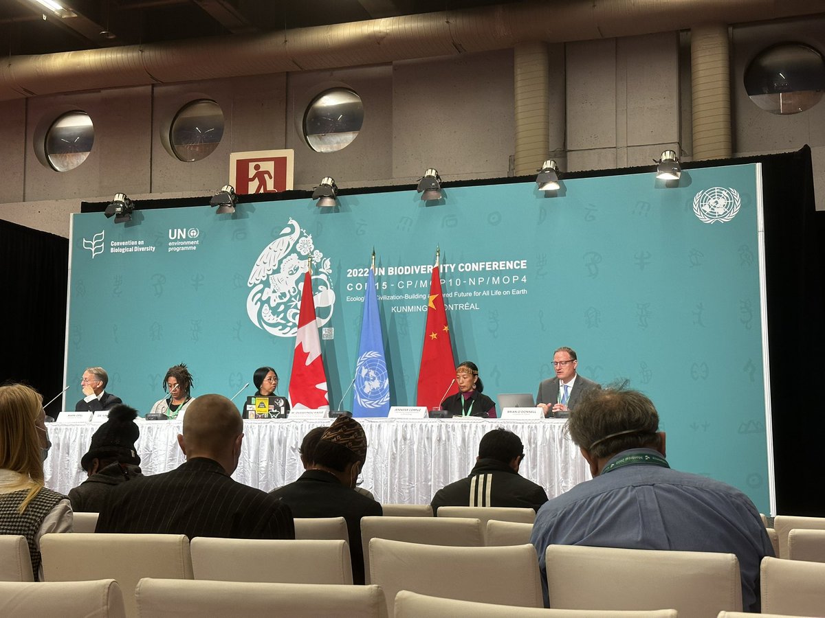 CAP Ocean 🌅 tweet media