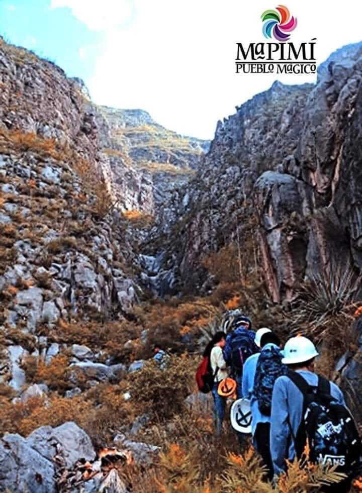 Alonso_Blancas's tweet photo. Un amigo tuyo te pide le sugieras una experiencia que pueda vivir en su próximo viaje a Mapimi Durango, ¿qué le recomendarías hacer?🤔 #VisitMapimi #PuebloMagico https://t.co/je3MkqTxRB