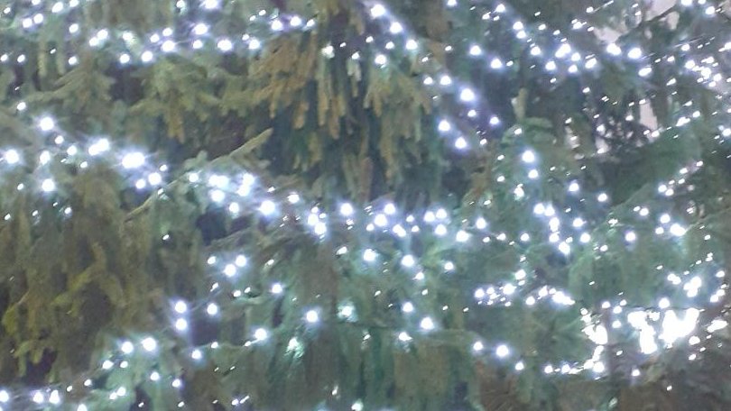 Brixton Neighbourhood Forum tweet media